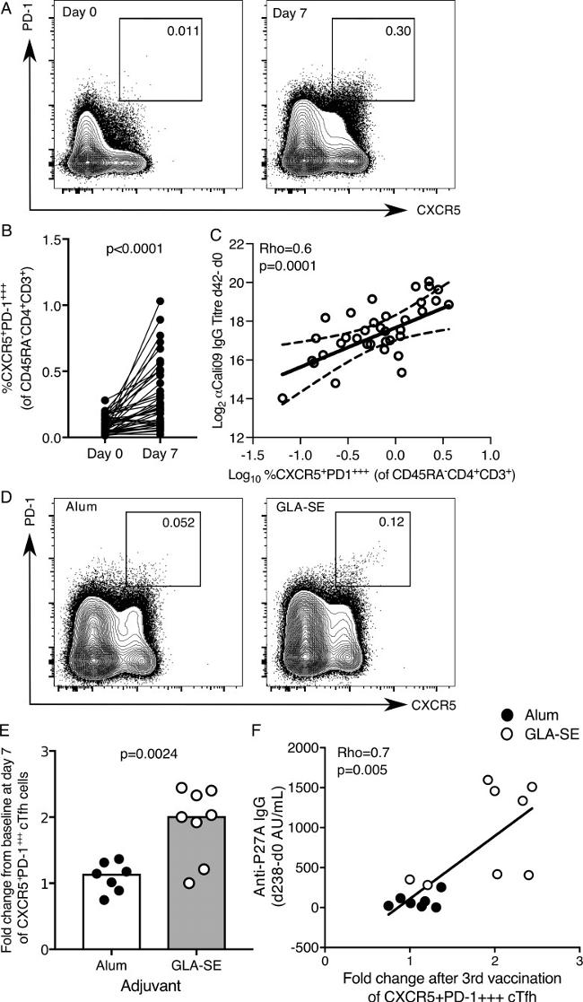 CD279 (PD-1) Antibody in Flow Cytometry (Flow)