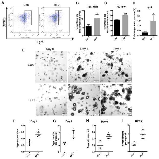 CD326 (EpCAM) Antibody in Flow Cytometry (Flow)