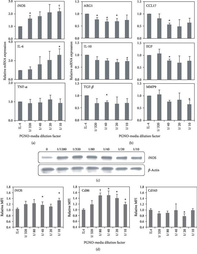 iNOS Antibody in Flow Cytometry (Flow)