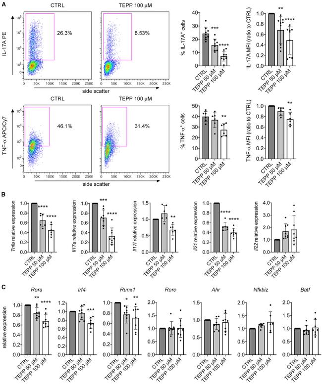 IL-17A Antibody in Flow Cytometry (Flow)