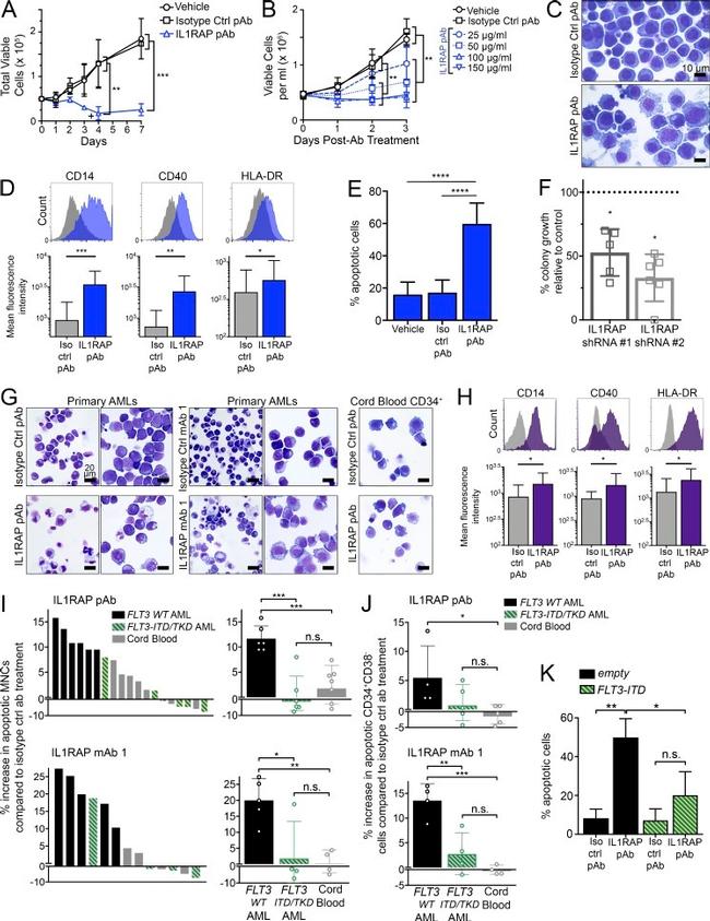 CD14 Antibody in Flow Cytometry (Flow)