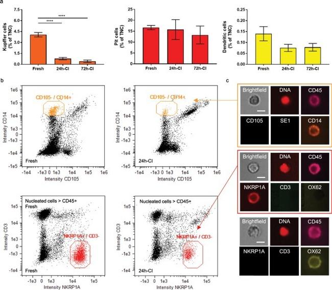 CD3 Antibody in Flow Cytometry (Flow)