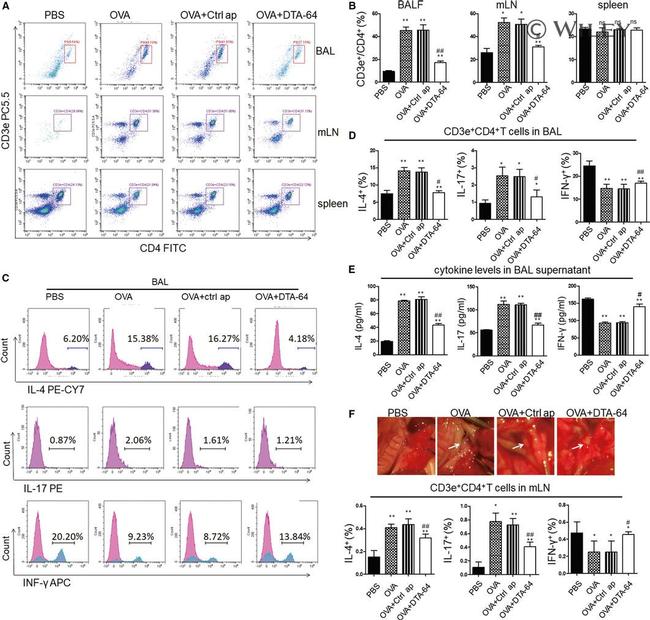 CD4 Antibody in Flow Cytometry (Flow)