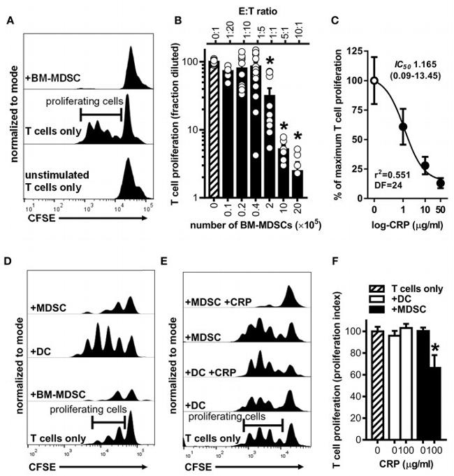 CD16/CD32 Antibody in Neutralization (Neu)