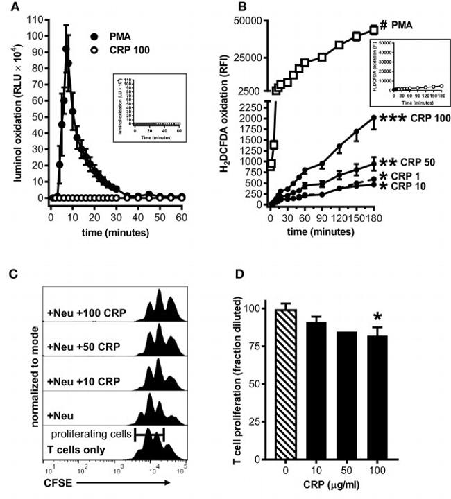 CD16/CD32 Antibody in Neutralization (Neu)