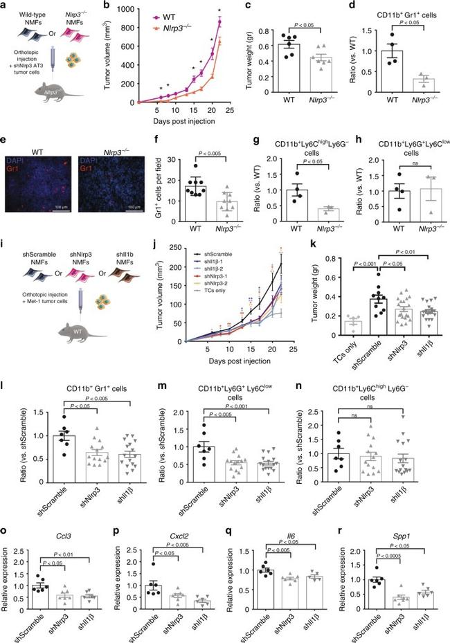 CD8a Antibody in Flow Cytometry (Flow)