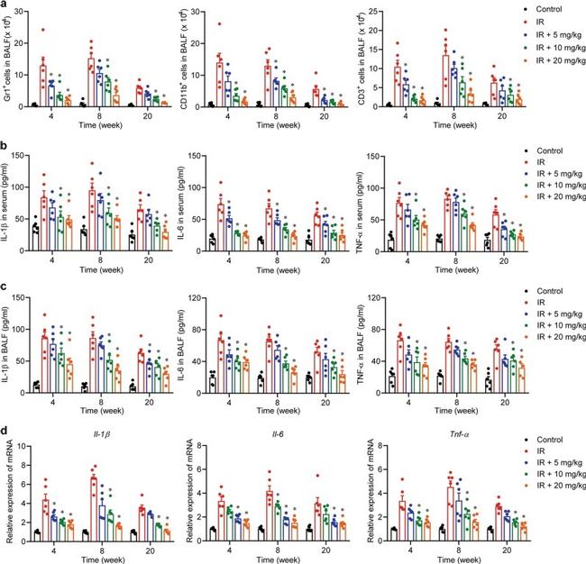 Ly-6G/Ly-6C Antibody in Flow Cytometry (Flow)