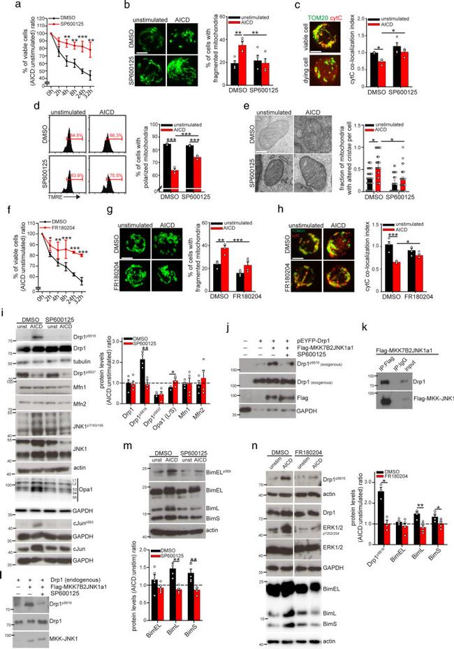 CD3 Antibody in T-Cell Activation (TCA)