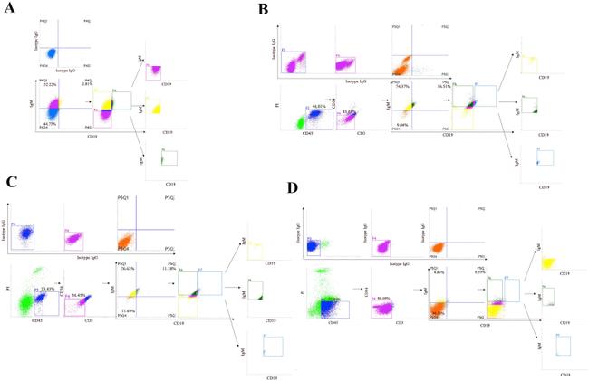 CD19 Antibody in Flow Cytometry (Flow)