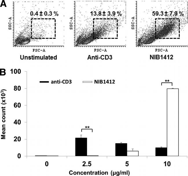 CD3 Antibody in T-Cell Activation (TCA)