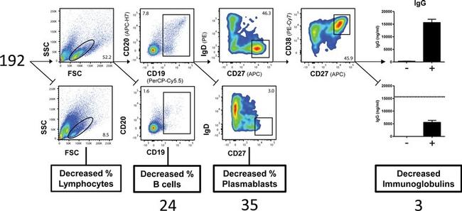 CD19 Antibody in Flow Cytometry (Flow)