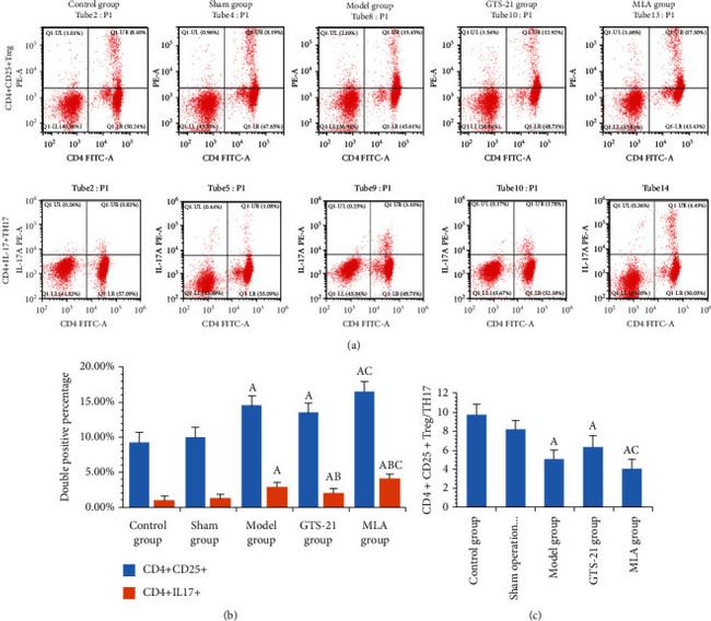 IL-17A Antibody in Flow Cytometry (Flow)