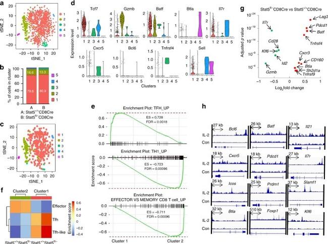 CD279 (PD-1) Antibody in Flow Cytometry (Flow)