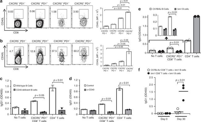 CD279 (PD-1) Antibody in Flow Cytometry (Flow)