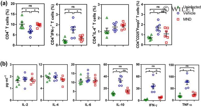 CD4 Antibody in Flow Cytometry (Flow)