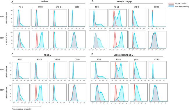 CD4 Antibody in Flow Cytometry (Flow)