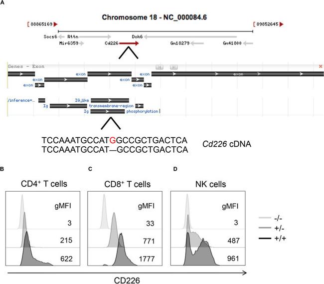 CD4 Antibody in Flow Cytometry (Flow)