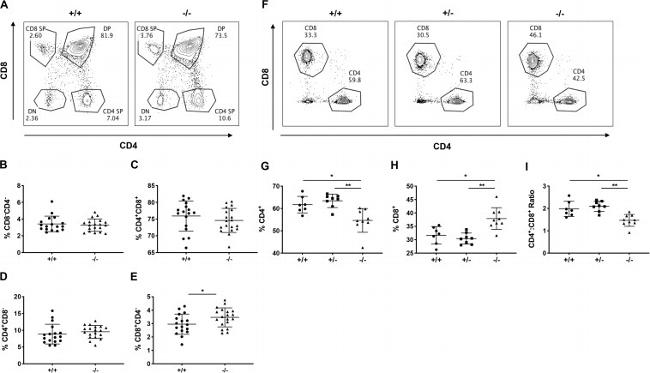 CD4 Antibody in Flow Cytometry (Flow)