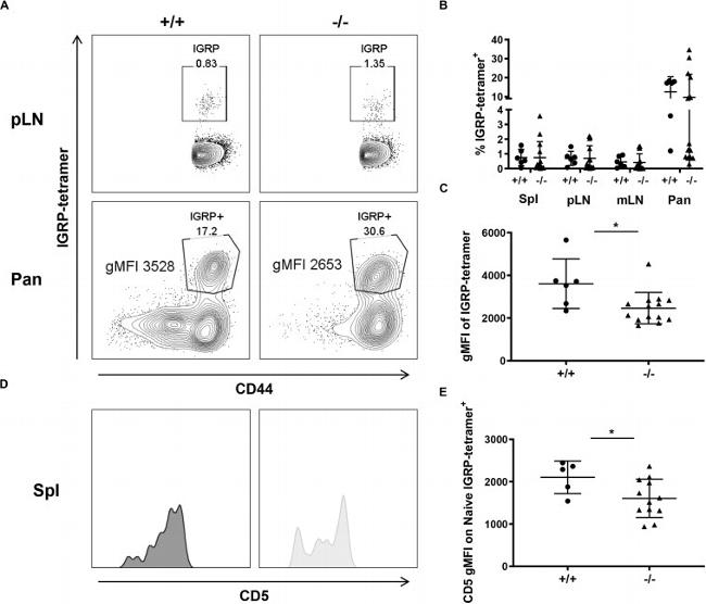 CD8a Antibody in Flow Cytometry (Flow)