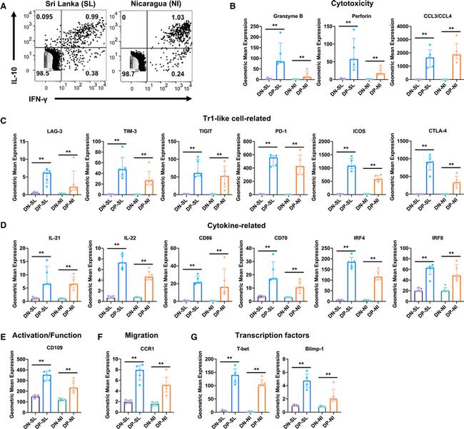 CD4 Antibody in Flow Cytometry (Flow)