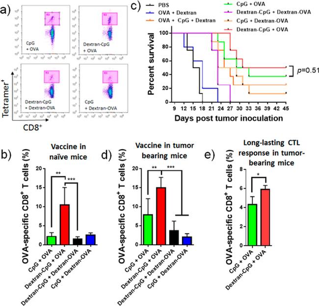 CD8a Antibody in Flow Cytometry (Flow)