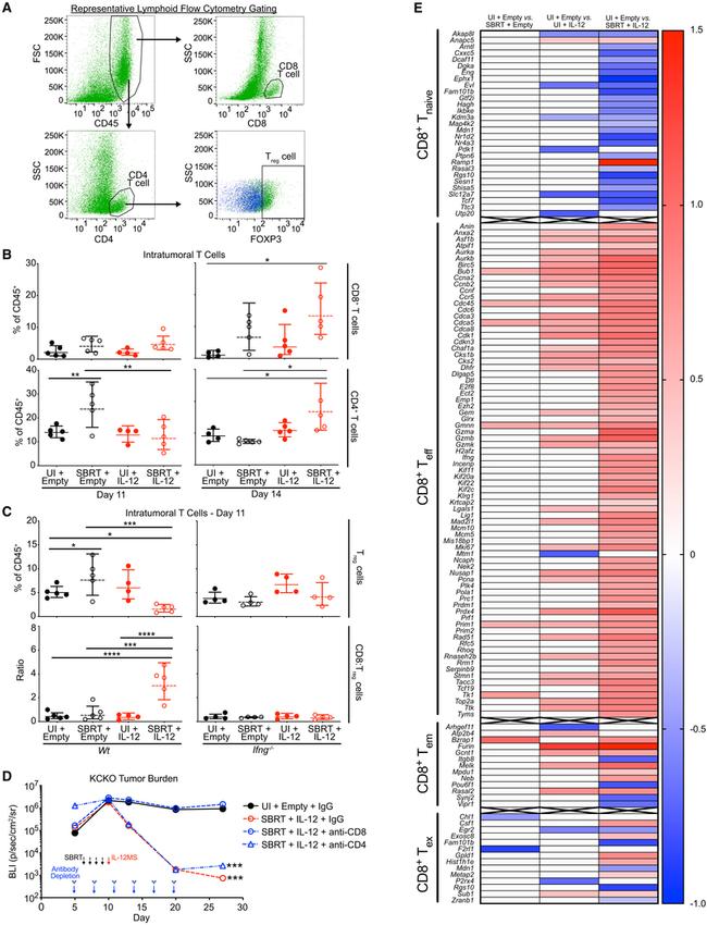 CD8a Antibody in Flow Cytometry (Flow)