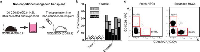 CD8a Antibody in Flow Cytometry (Flow)