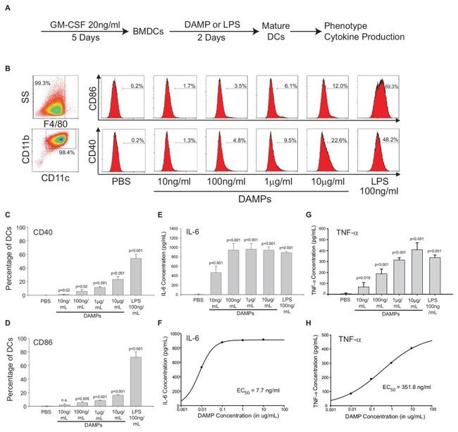 CD40 Antibody in Flow Cytometry (Flow)