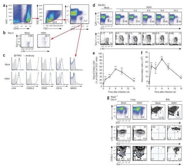 IL-33R (ST2) Antibody in Flow Cytometry (Flow)