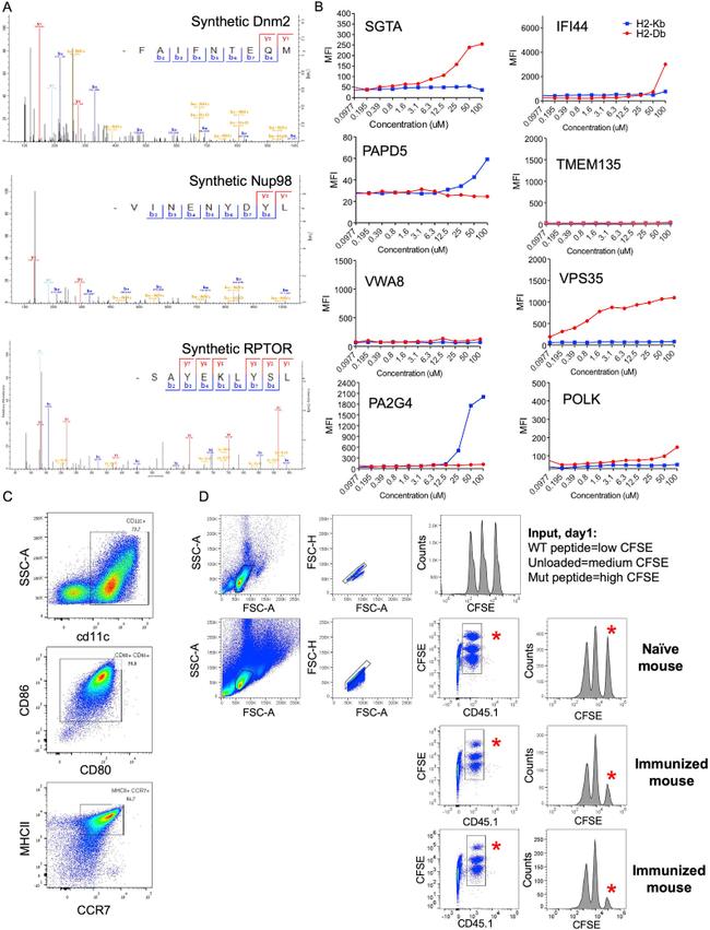 CD45.1 Antibody in Flow Cytometry (Flow)