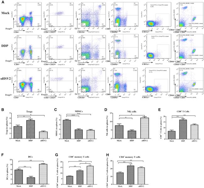 CD11c Antibody in Flow Cytometry (Flow)