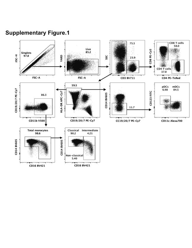 CD4 Antibody in Flow Cytometry (Flow)