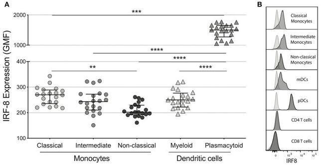 IRF8 Antibody in Flow Cytometry (Flow)