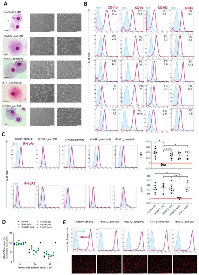 CD14 Antibody in Flow Cytometry (Flow)