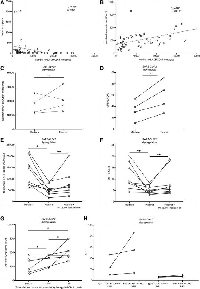 MHC Class II (I-A/I-E) Antibody in Flow Cytometry (Flow)