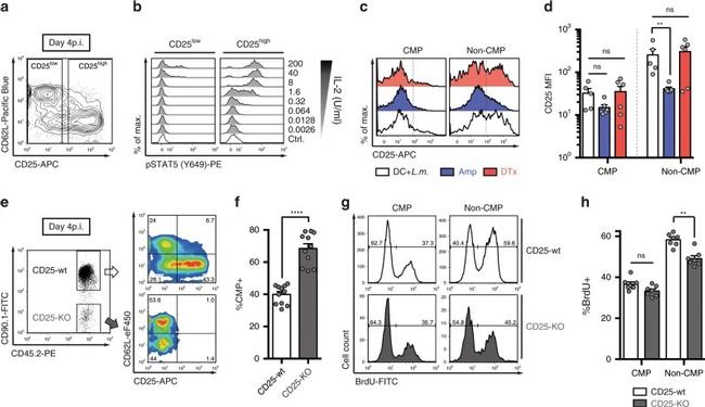 CD8 alpha Antibody in Flow Cytometry (Flow)