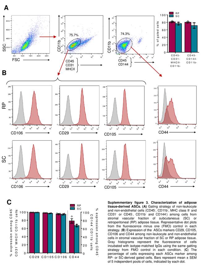 CD31 (PECAM-1) Antibody in Flow Cytometry (Flow)