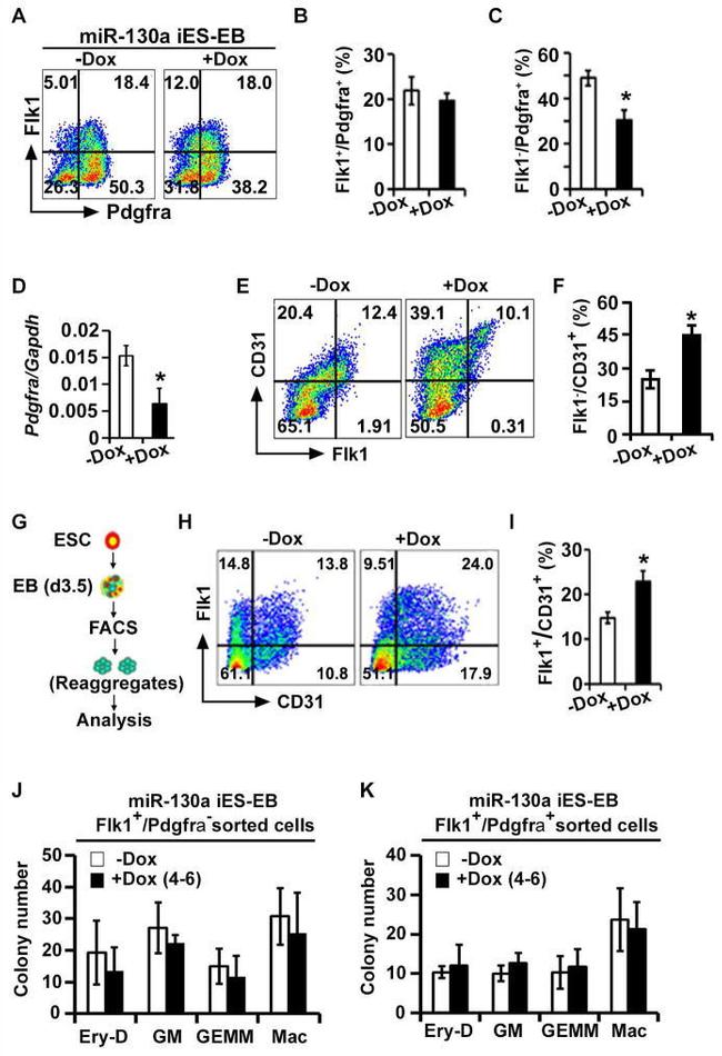 CD31 (PECAM-1) Antibody in Flow Cytometry (Flow)