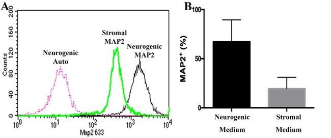 MAP2 Antibody in Flow Cytometry (Flow)