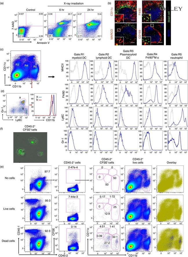 MHC Class II (I-A/I-E) Antibody in Flow Cytometry (Flow)