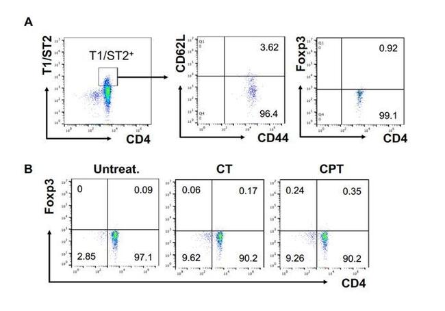 CD44 Antibody in Flow Cytometry (Flow)