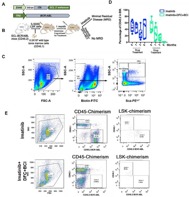 CD45.1 Antibody in Flow Cytometry (Flow)