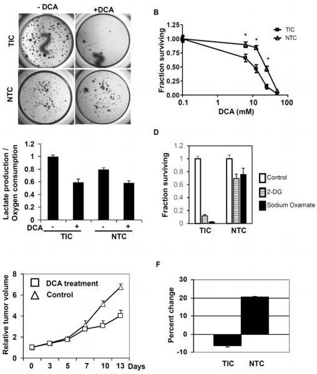 CD49f (Integrin alpha 6) Antibody in Flow Cytometry (Flow)