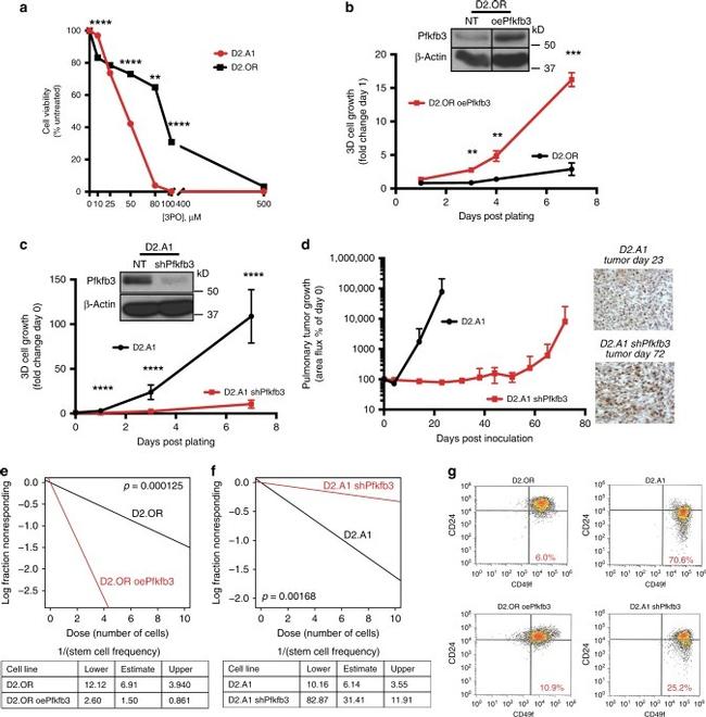 CD49f (Integrin alpha 6) Antibody in Flow Cytometry (Flow)