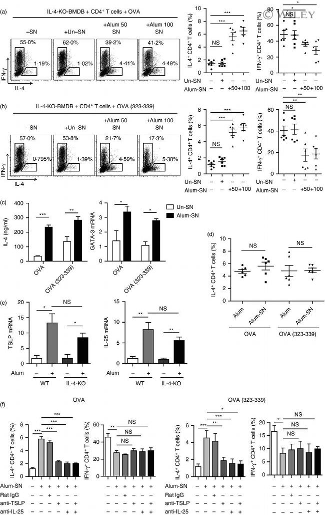 TSLP Antibody in Neutralization (Neu)