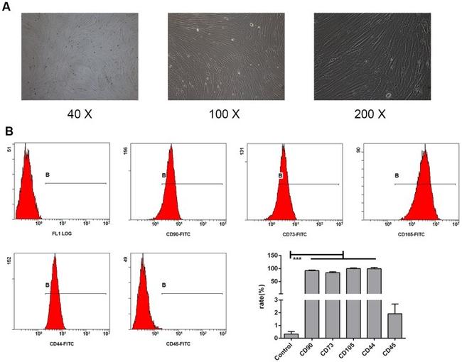 CD44 Antibody in Flow Cytometry (Flow)