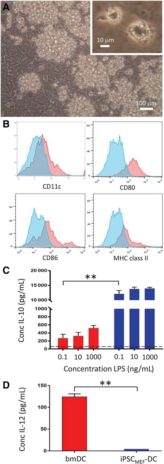 CD86 (B7-2) Antibody in Flow Cytometry (Flow)