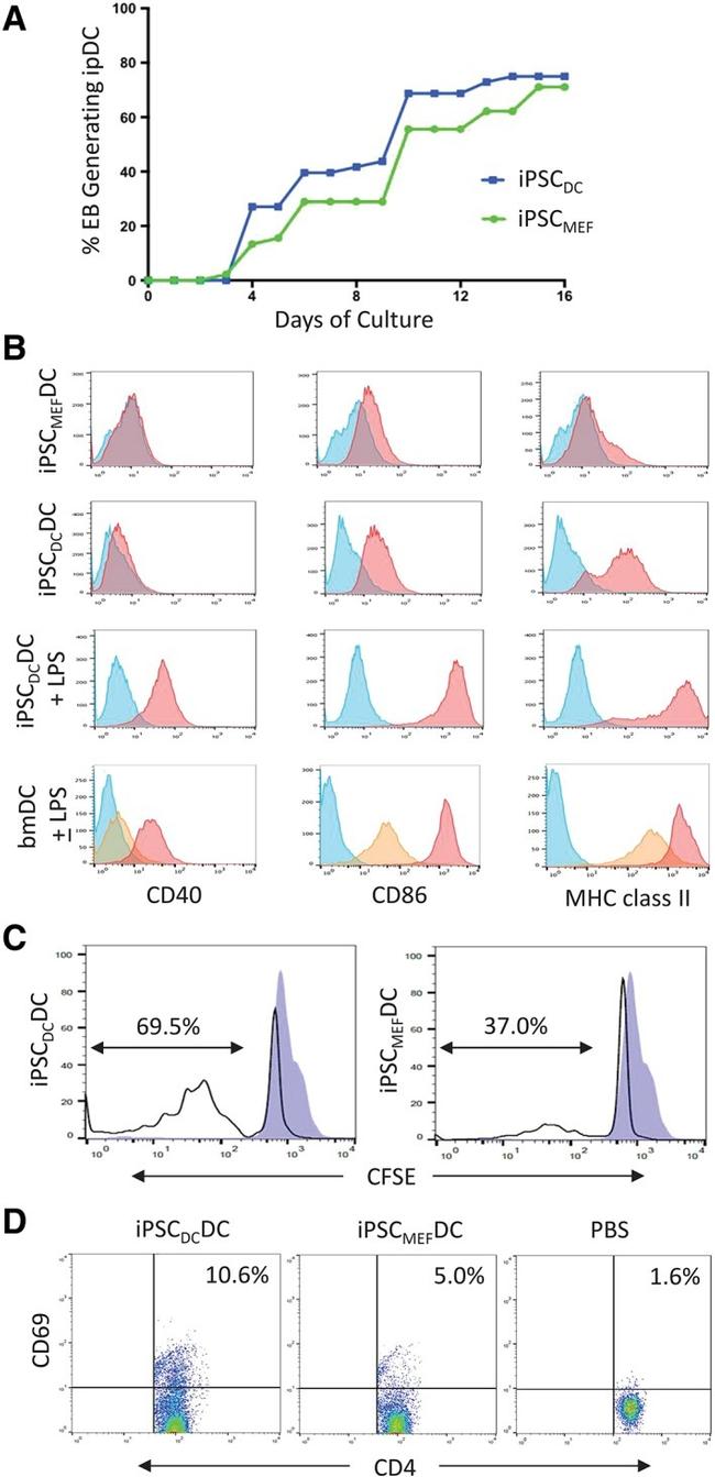 CD86 (B7-2) Antibody in Flow Cytometry (Flow)