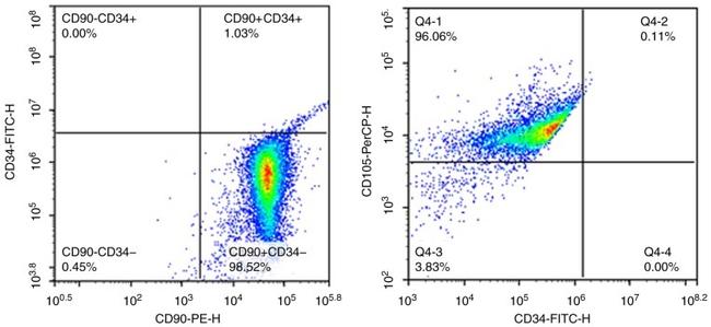 CD90.1 (Thy-1.1) Antibody in Flow Cytometry (Flow)