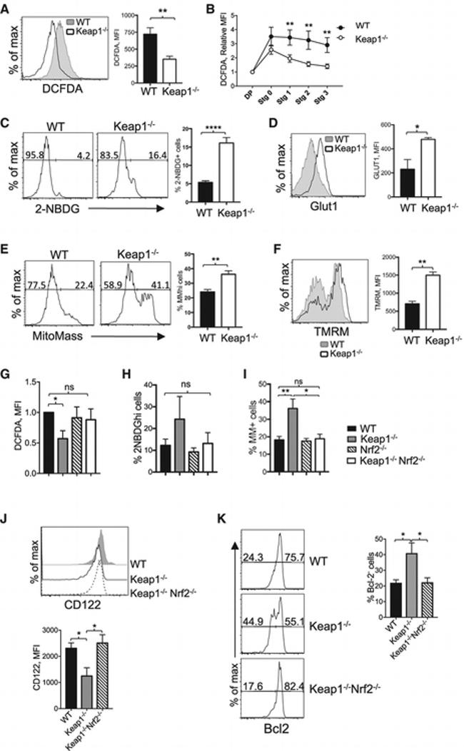 CD122 Antibody in Flow Cytometry (Flow)